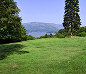 great lawn